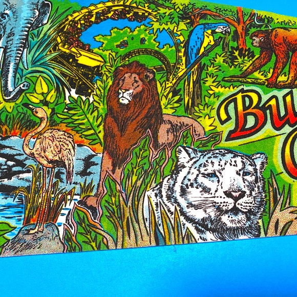BUSCH GARDENS VINTAGE 90’s TAMPA FLORIDA COLLECTIBLE SOUVENIR PENNANT FL… - Picture 12 of 16
